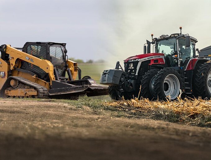 MF_Cat_GraphicforWebsi3